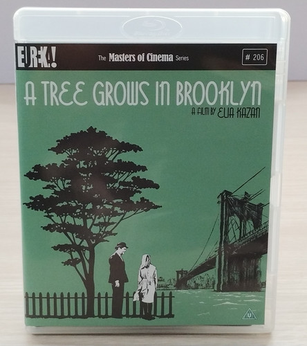 Tree grows brooklyn - in,